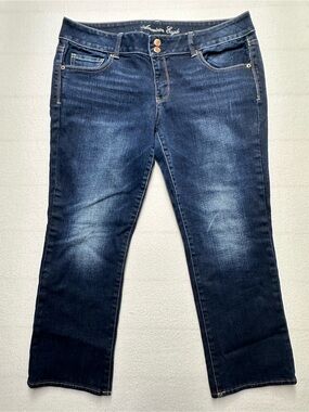 American Eagle Artist Cropped Jeans • Size 16 • Stretch • 26” Inseam | EUC